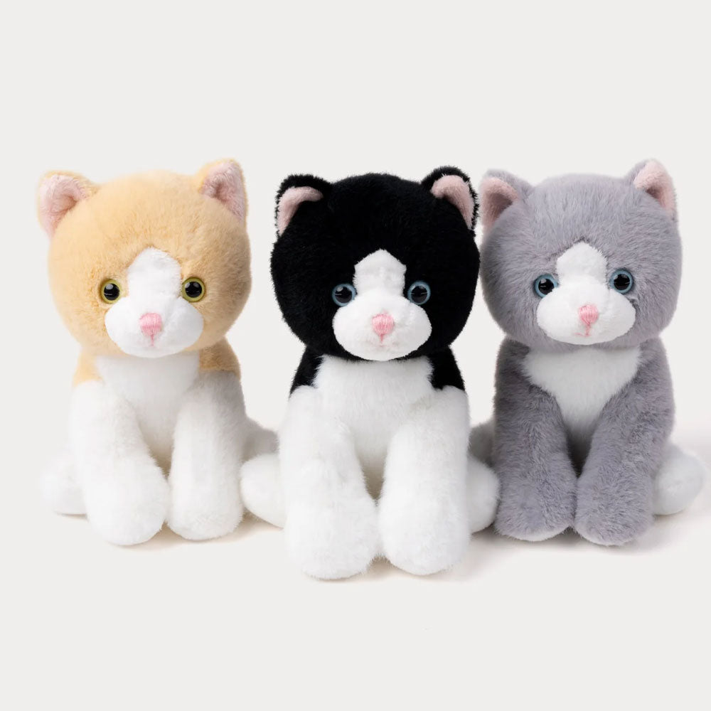 Teddykompaniet Gosedjur Kattunge Svart 18cm