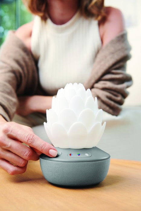 Skip Hop Nattlampa Med Gråtsensor Succulent